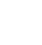 gvs-schumacher3