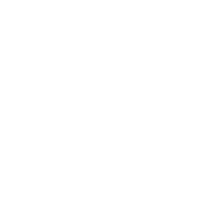 gvs-schumacher3